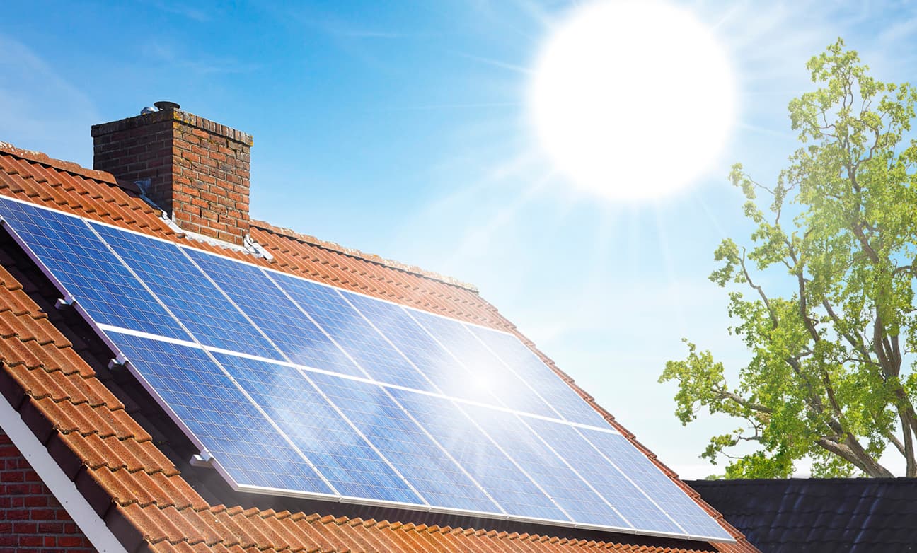 Zonnige start van 2019